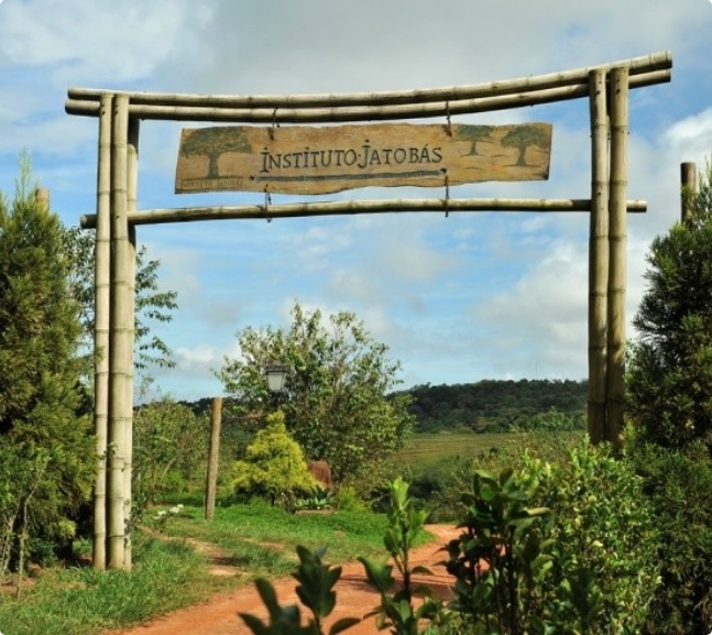 quem somos instituto jatobas